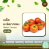 เมล็ดพันธุ์ มะเขือเทศกลม