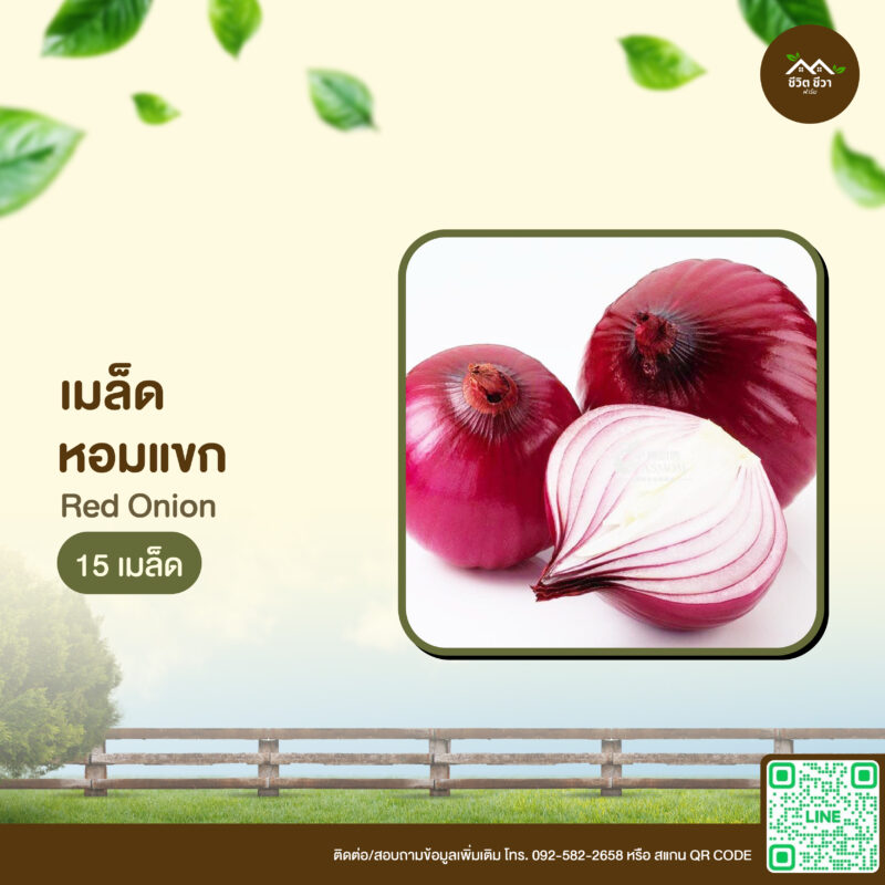 เมล็ดพันธุ์ หอมแขก
