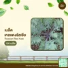เมล็ดพันธุ์ เคลแดงรัสเซีย