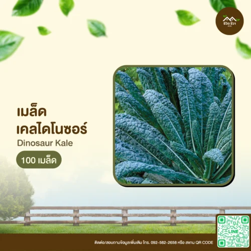 เมล็ดพันธุ์ เคลไดโนซอร์