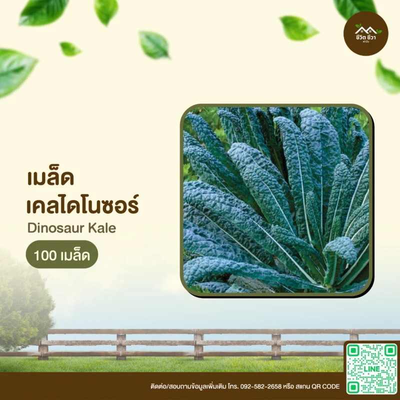 เมล็ดพันธุ์ เคลไดโนซอร์