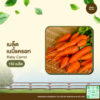 เมล็ดพันธุ์ เบบี้แครอท