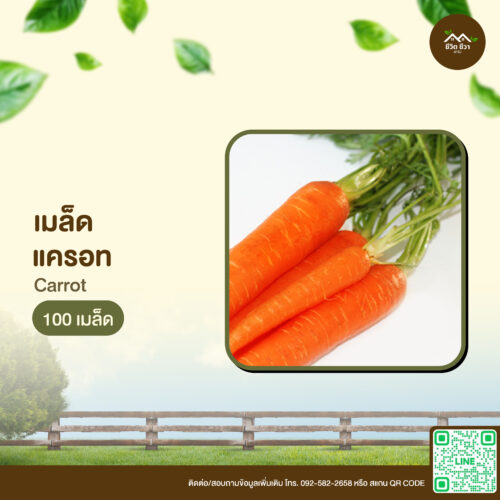 เมล็ดพันธุ์ แครอท