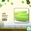 เมล็ดพันธุ์ แตงกวา