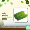 เมล็ดพันธุ์ แตงร้าน