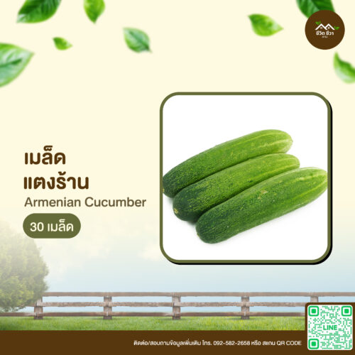 เมล็ดพันธุ์ แตงร้าน