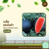เมล็ดพันธุ์ แตงโมดำ