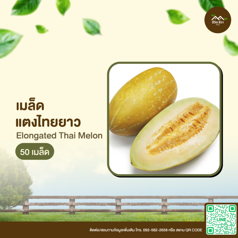 เมล็ดพันธุ์ แตงไทยยาว