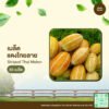 เมล็ดพันธุ์ แตงไทยลาย