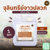 จุลินทรีย์จาวปลวก