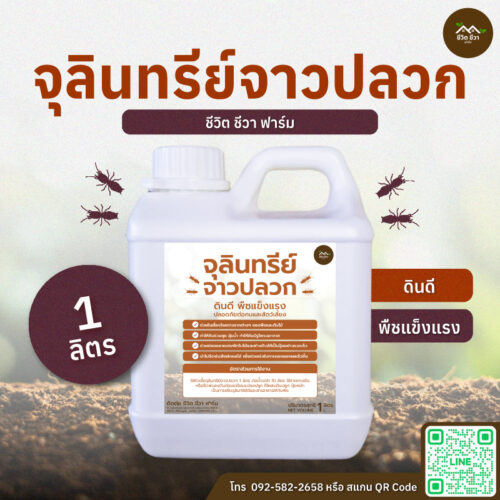 จุลินทรีย์จาวปลวก