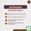 จุลินทรีย์จาวปลวก