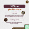 จุลินทรีย์จาวปลวก