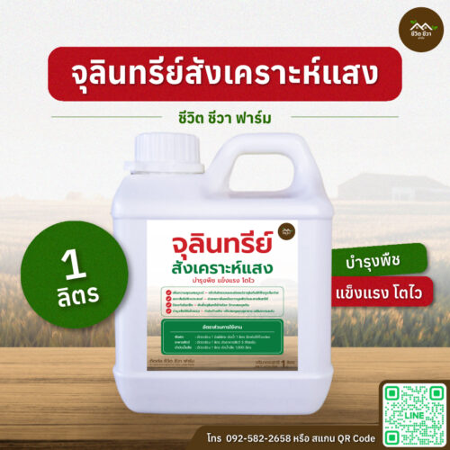 จุลินทรีย์สังเคราะห์แสง