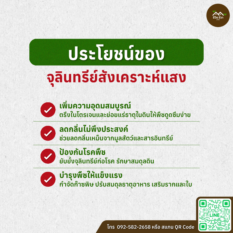 จุลินทรีย์สังเคราะห์แสง
