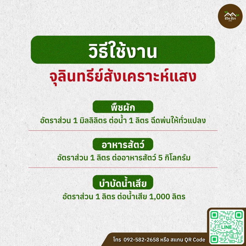 จุลินทรีย์สังเคราะห์แสง