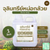 จุลินทรีย์หน่อกล้วย