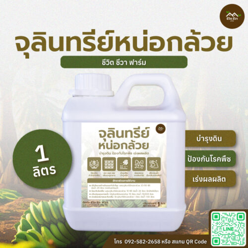 จุลินทรีย์หน่อกล้วย