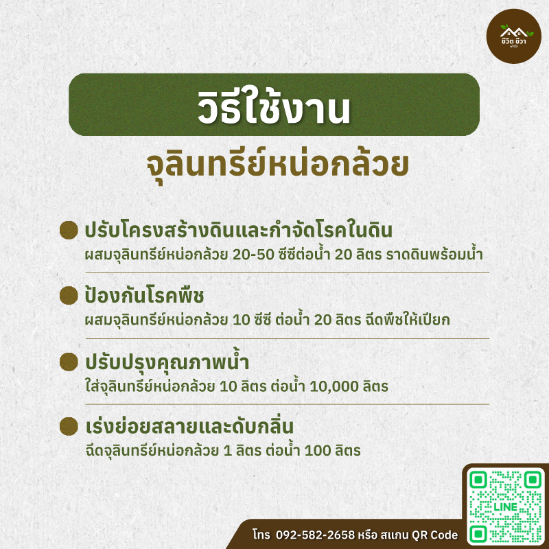 จุลินทรีย์หน่อกล้วย
