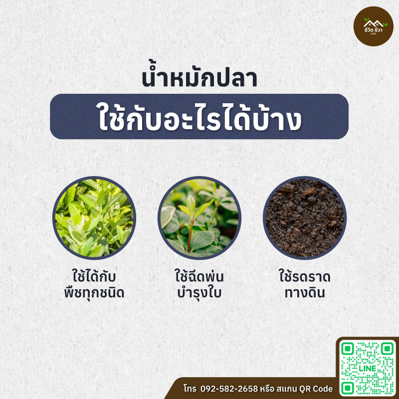 น้ำหมักปลา