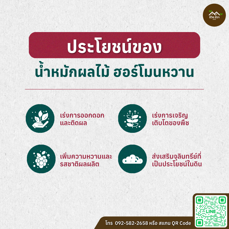 น้ำหมักผลไม้ ฮอร์โมนหวาน