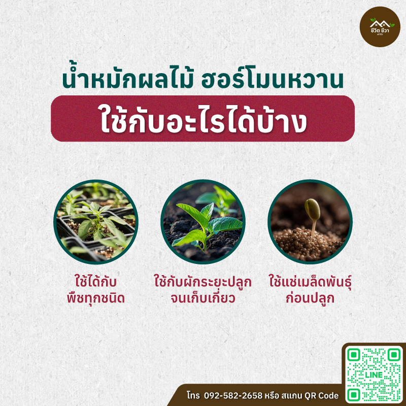 น้ำหมักผลไม้ ฮอร์โมนหวาน