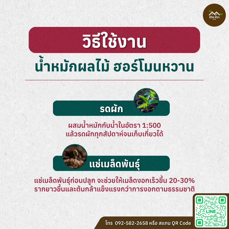 น้ำหมักผลไม้ ฮอร์โมนหวาน