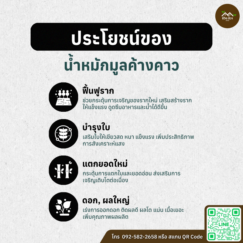 น้ำหมักมูลค้างคาว