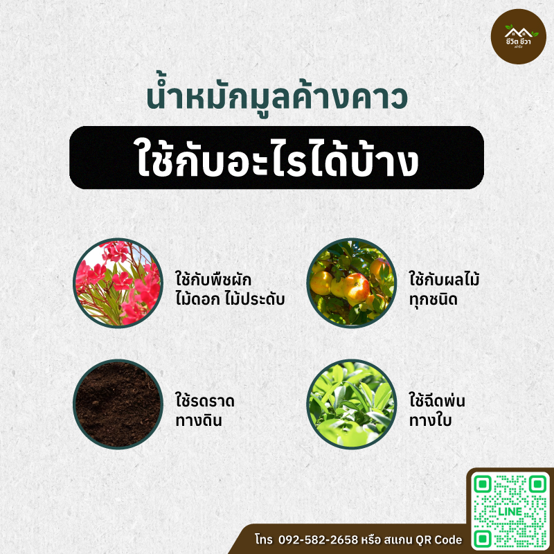น้ำหมักมูลค้างคาว