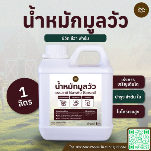 น้ำหมักมูลวัว
