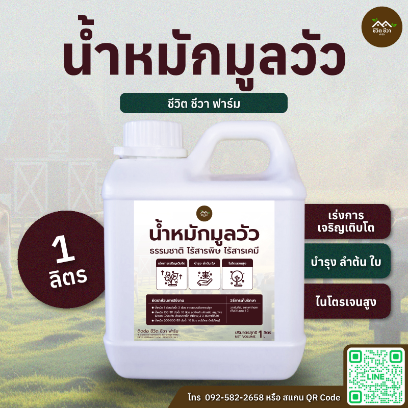 น้ำหมักมูลวัว