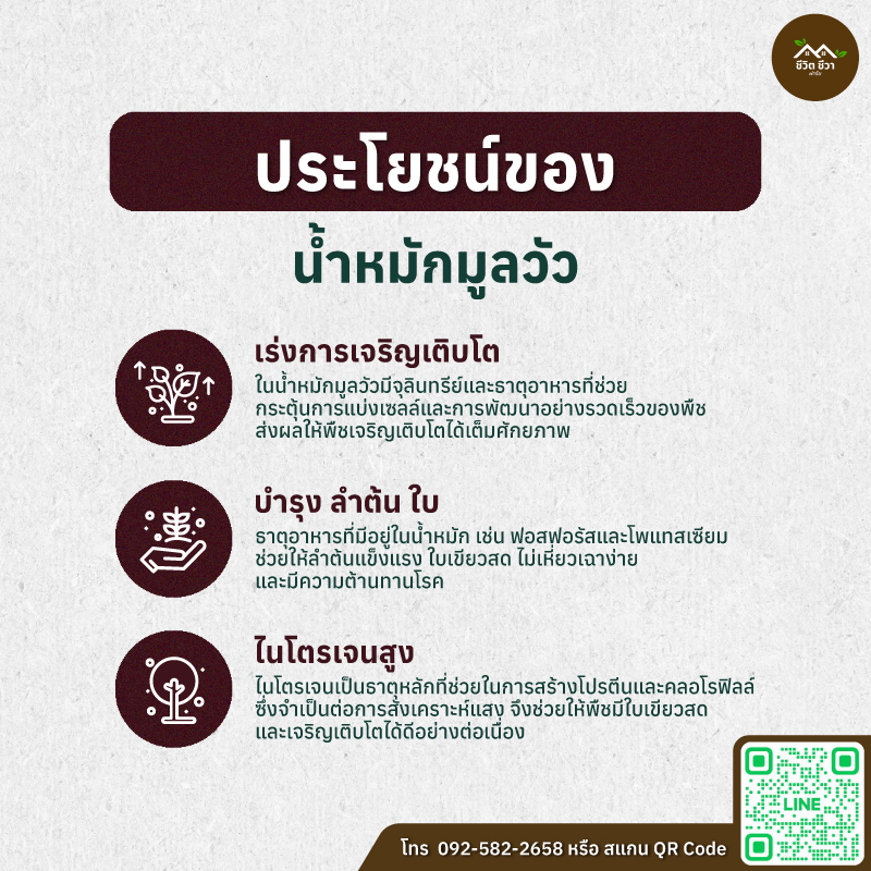 น้ำหมักมูลวัว