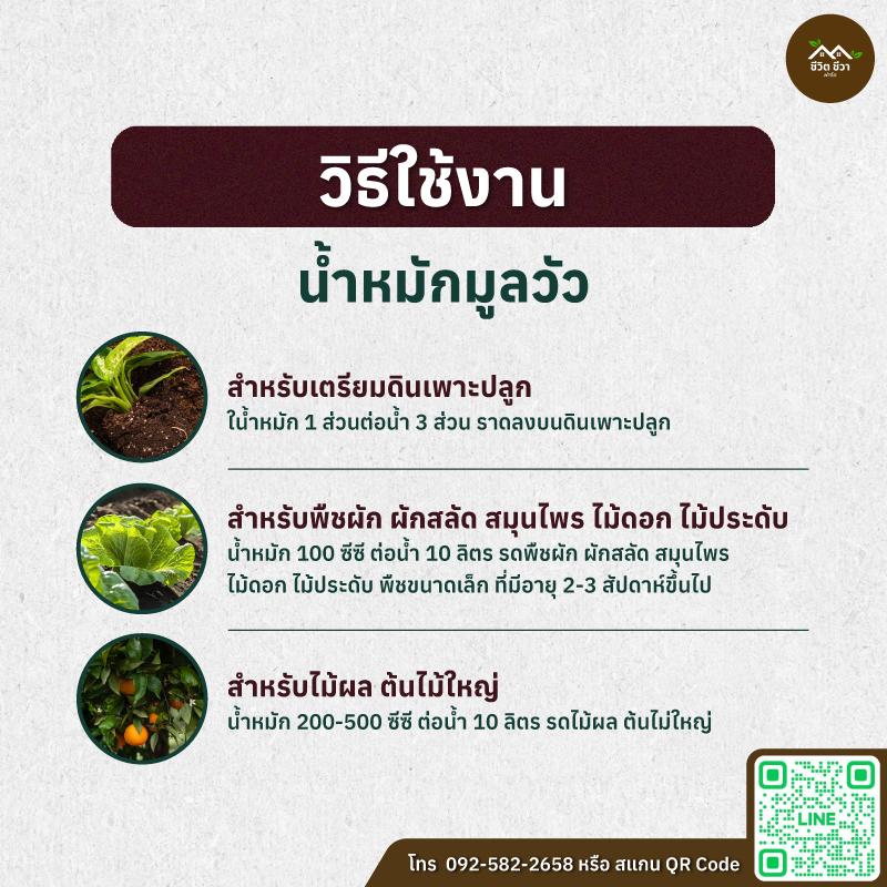 น้ำหมักมูลวัว