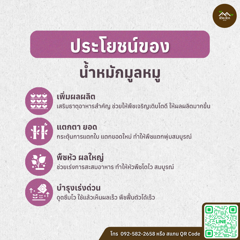 น้ำหมักมูลหมู
