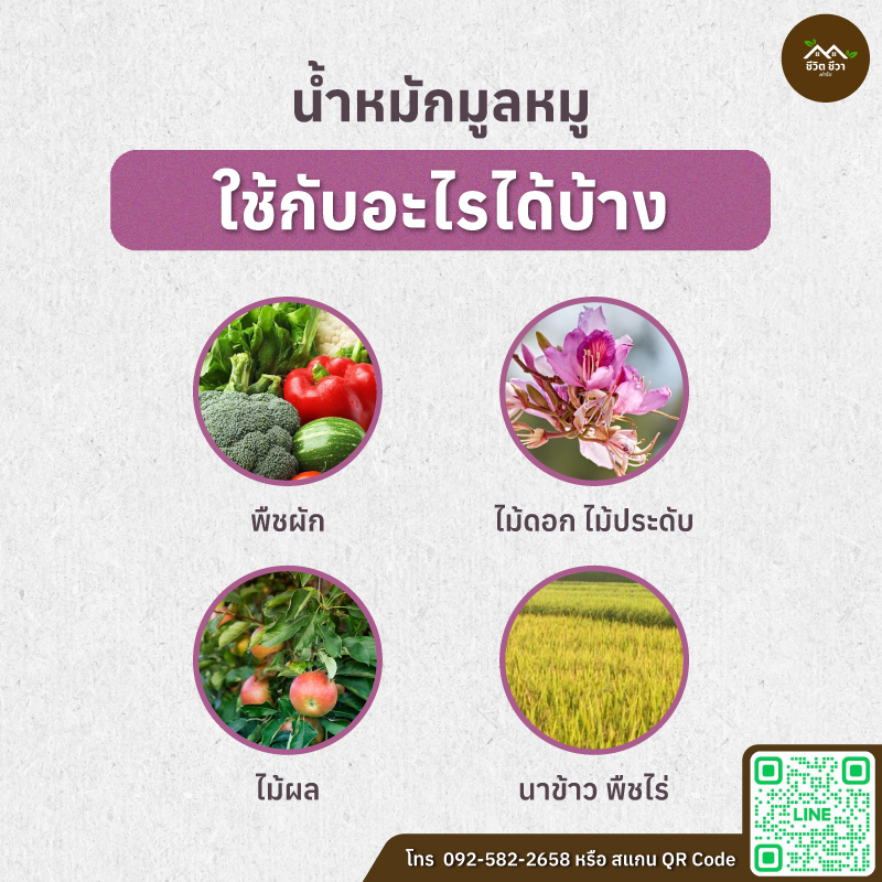 น้ำหมักมูลหมู