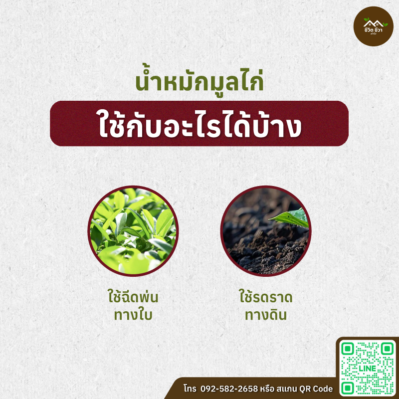 น้ำหมักมูลไก่