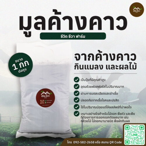 มูลค้างคาว