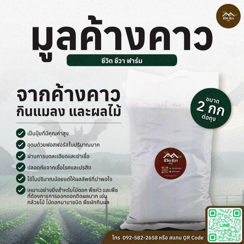มูลค้างคาว