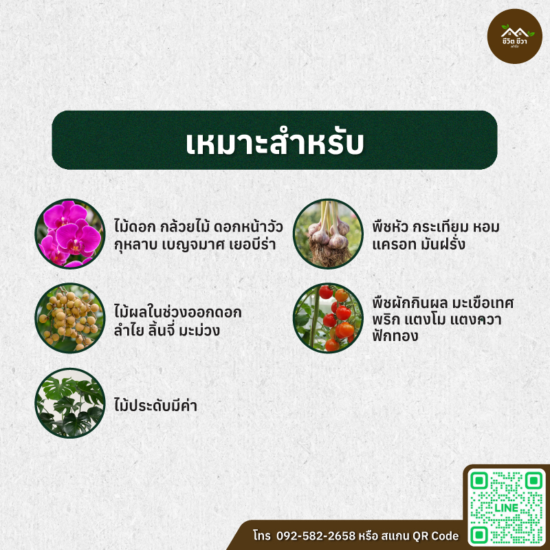 มูลค้างคาว