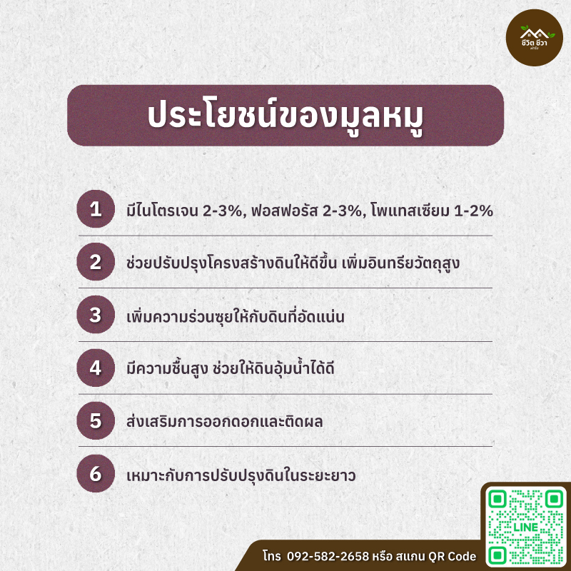 มูลหมู