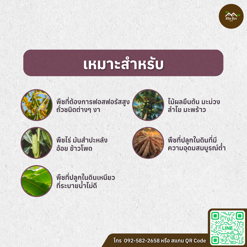 มูลหมู