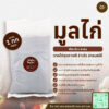 มูลไก่