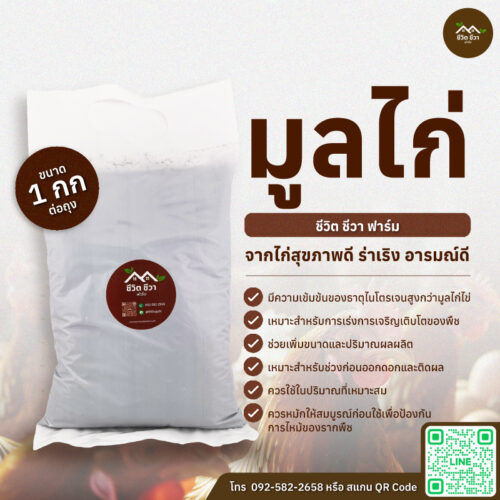 มูลไก่