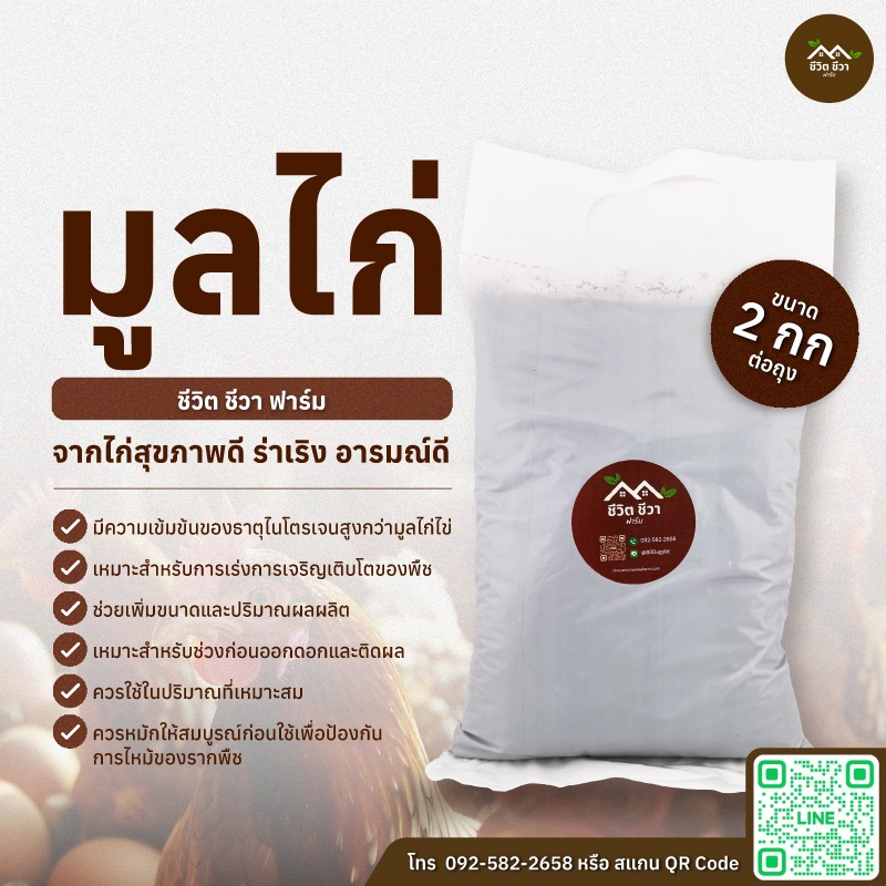 มูลไก่