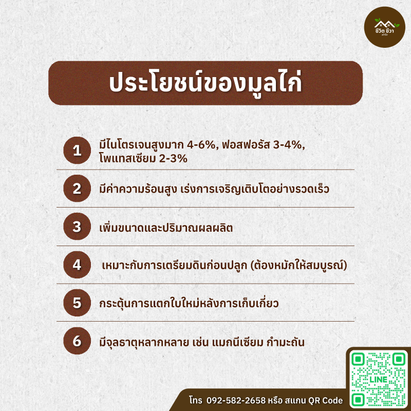 มูลไก่