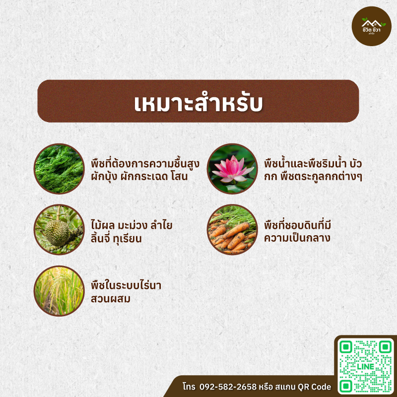 มูลไก่