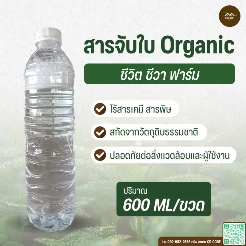 สารจับใบ Organic
