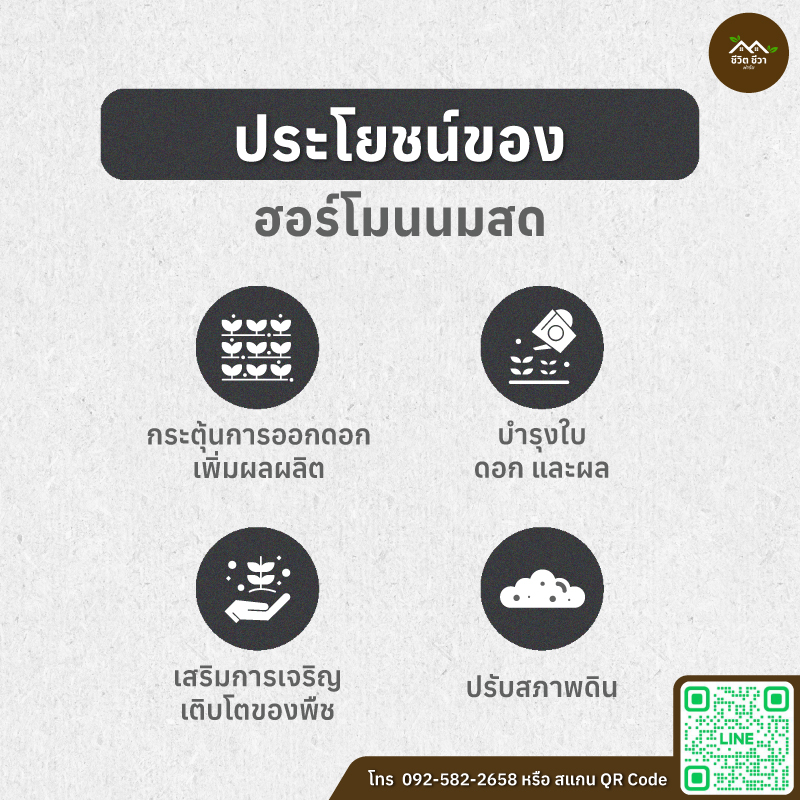 ฮอร์โมนนมสด