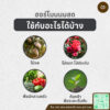 ฮอร์โมนนมสด