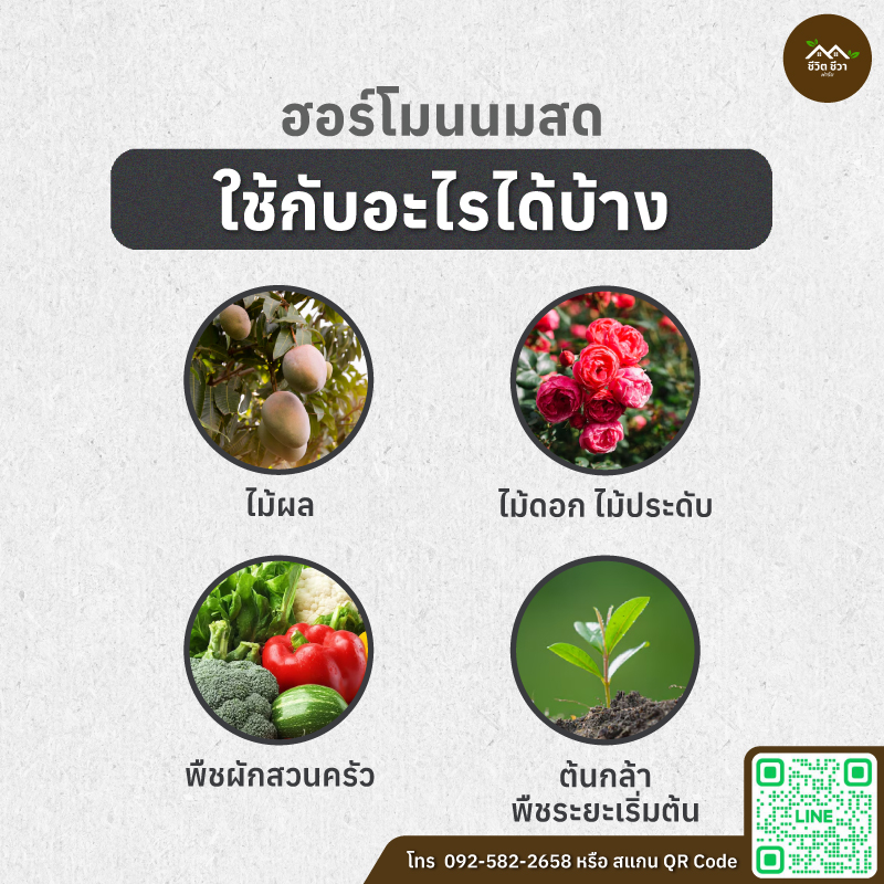 ฮอร์โมนนมสด